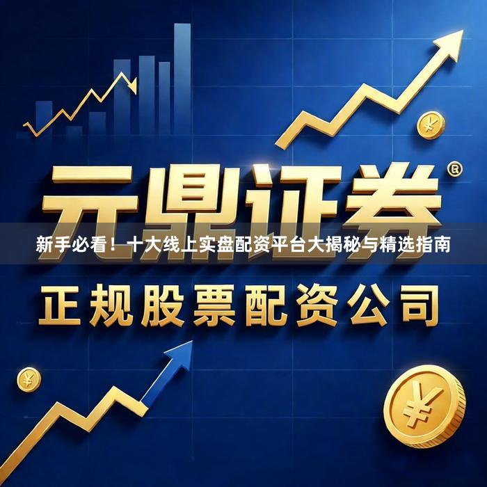 新手必看！十大线上实盘配资平台大揭秘与精选指南