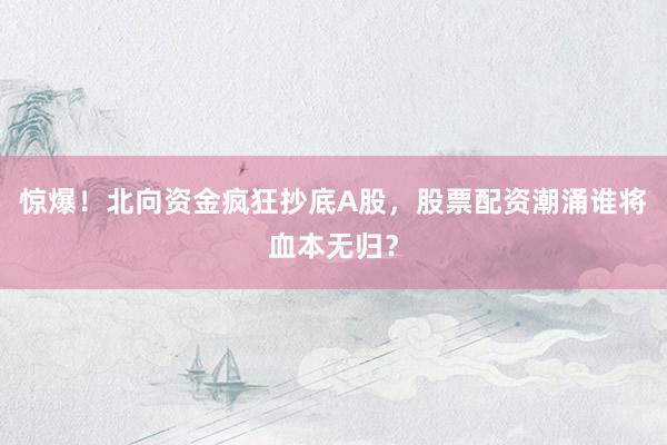 惊爆！北向资金疯狂抄底A股，股票配资潮涌谁将血本无归？
