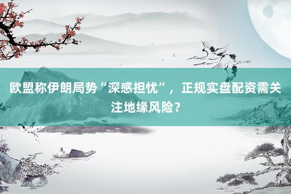 欧盟称伊朗局势“深感担忧”，正规实盘配资需关注地缘风险？