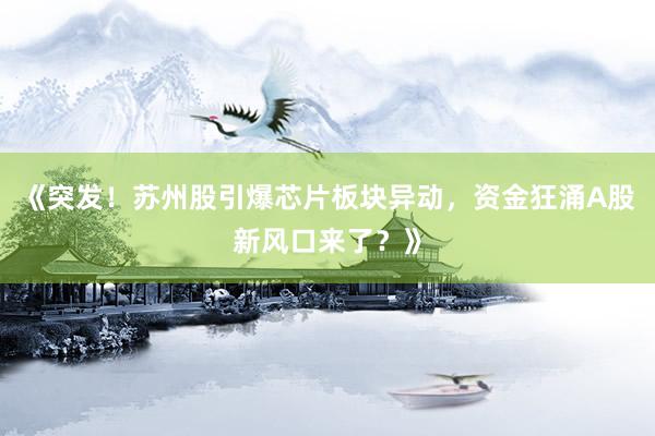 《突发！苏州股引爆芯片板块异动，资金狂涌A股新风口来了？》