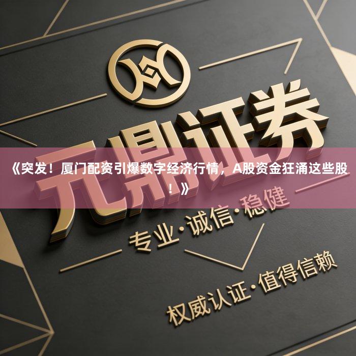 《突发！厦门配资引爆数字经济行情，A股资金狂涌这些股！》