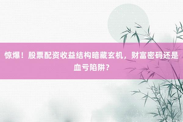 惊爆！股票配资收益结构暗藏玄机，财富密码还是血亏陷阱？