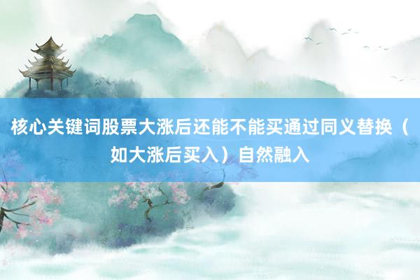 核心关键词股票大涨后还能不能买通过同义替换（如大涨后买入）自然融入
